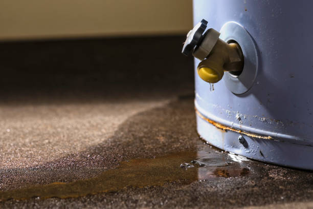 Best Ceiling water damage repair  in Womelsdorf, PA