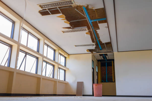 Best Carpet water damage restoration  in Womelsdorf, PA