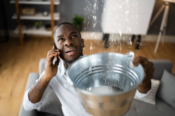 Best Water damage repair service  in Womelsdorf, PA