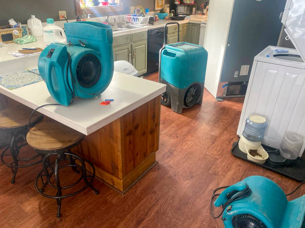 Best Flooded house restoration  in Womelsdorf, PA