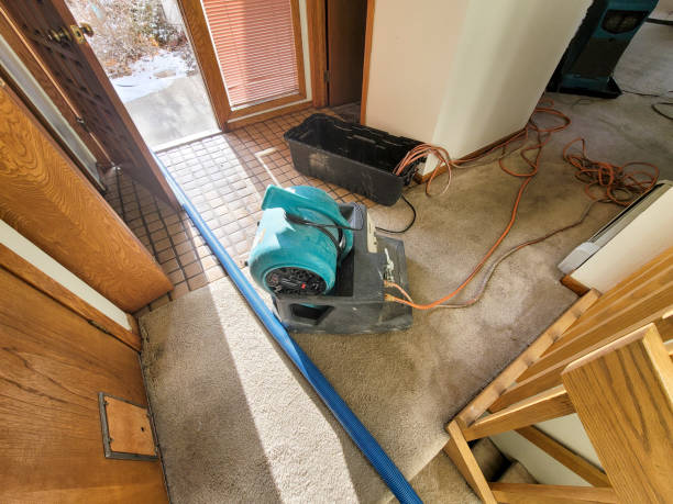 Best Flooded house restoration  in Womelsdorf, PA