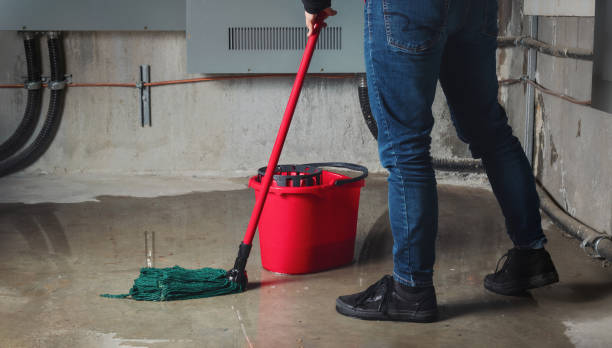 Best Water damage cleanup near me  in Womelsdorf, PA