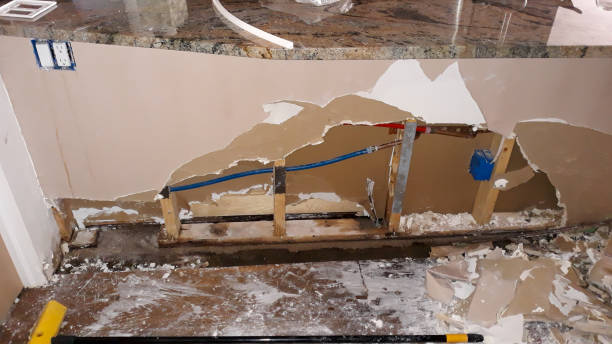 Best Residential water damage restoration  in Womelsdorf, PA