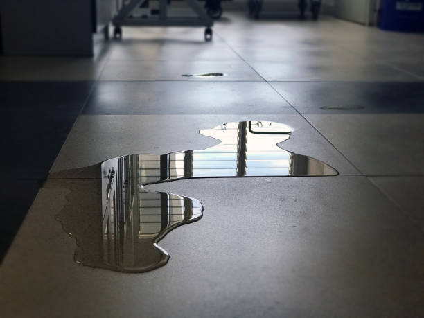 Best Commercial water damage restoration  in Womelsdorf, PA