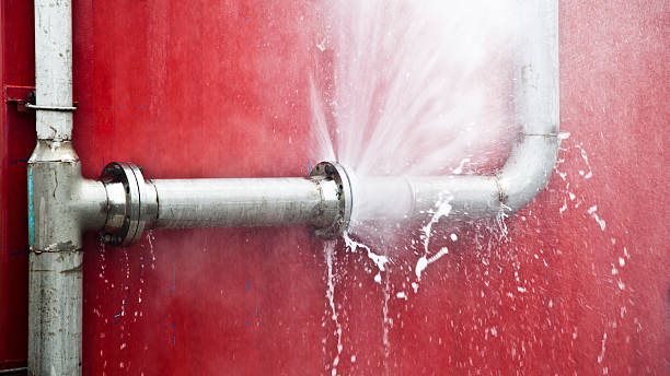 Best Fire Damage Restoration  in Womelsdorf, PA